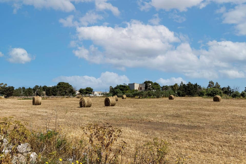 Surroundings [summer] (1-5 km)