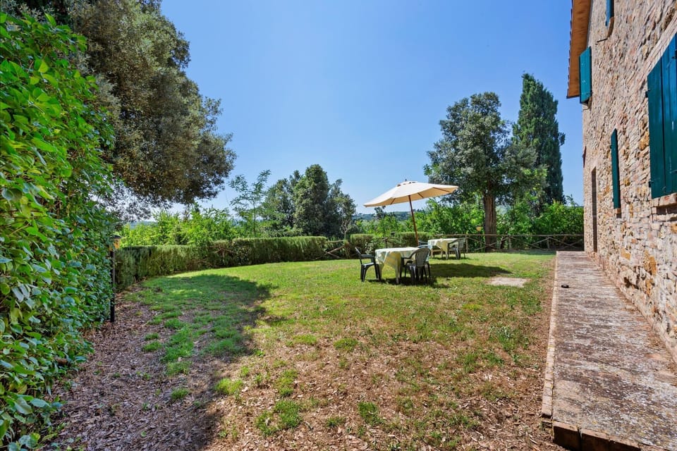 Garden [summer]