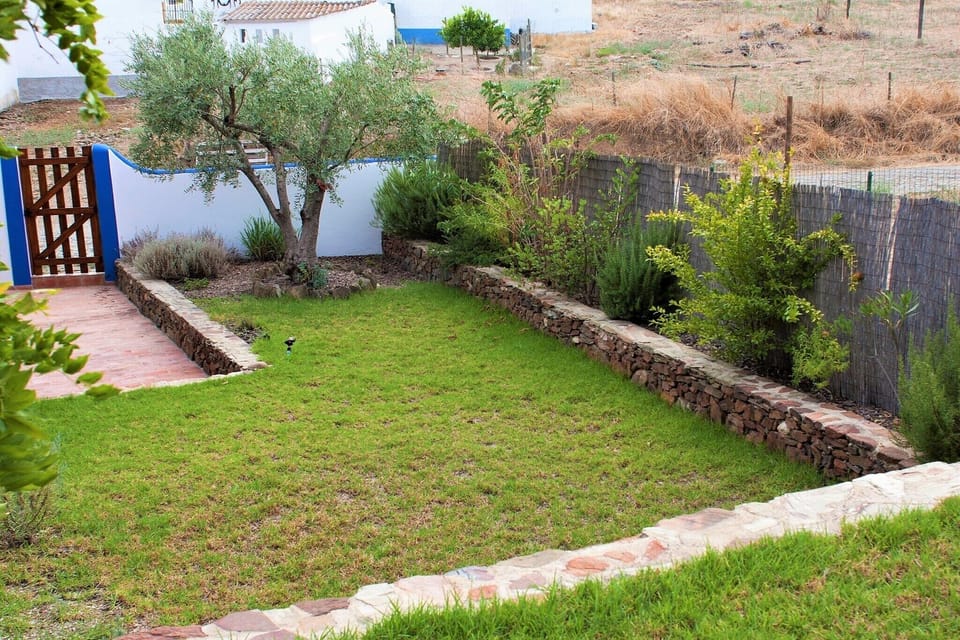 Garden [summer]