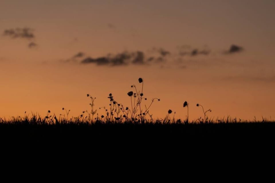 Sunsets provide a beautiful backdrop to the natural surroundings