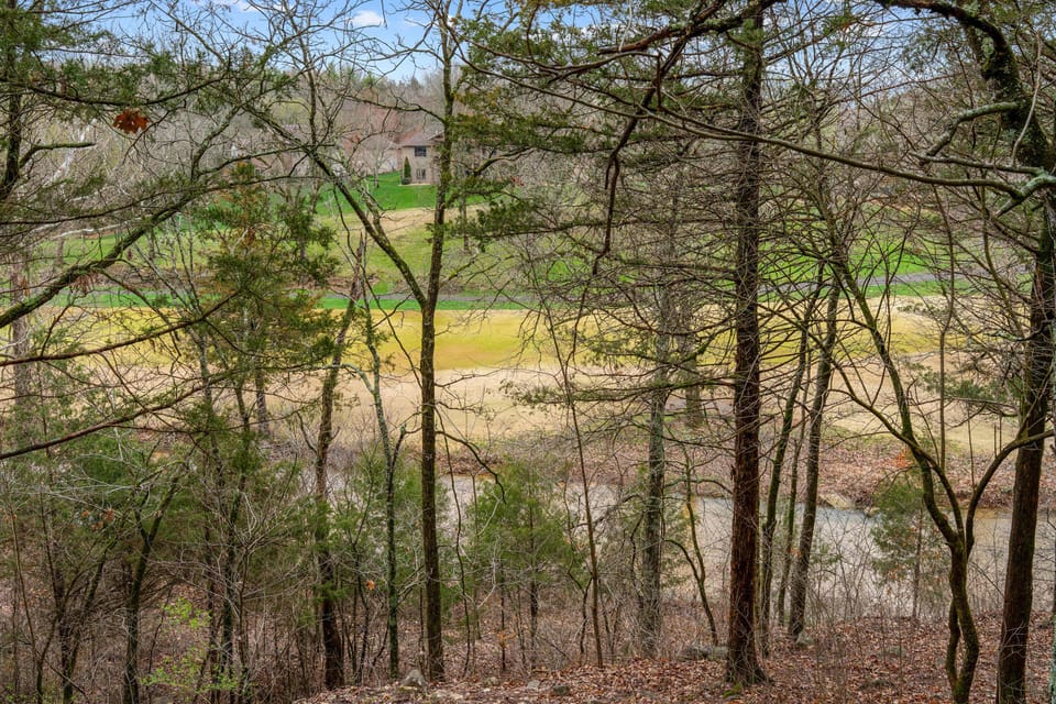 Cabin, Multiple Beds, Pool Access, Mountain View (The Lodge on the Creek) | View from room