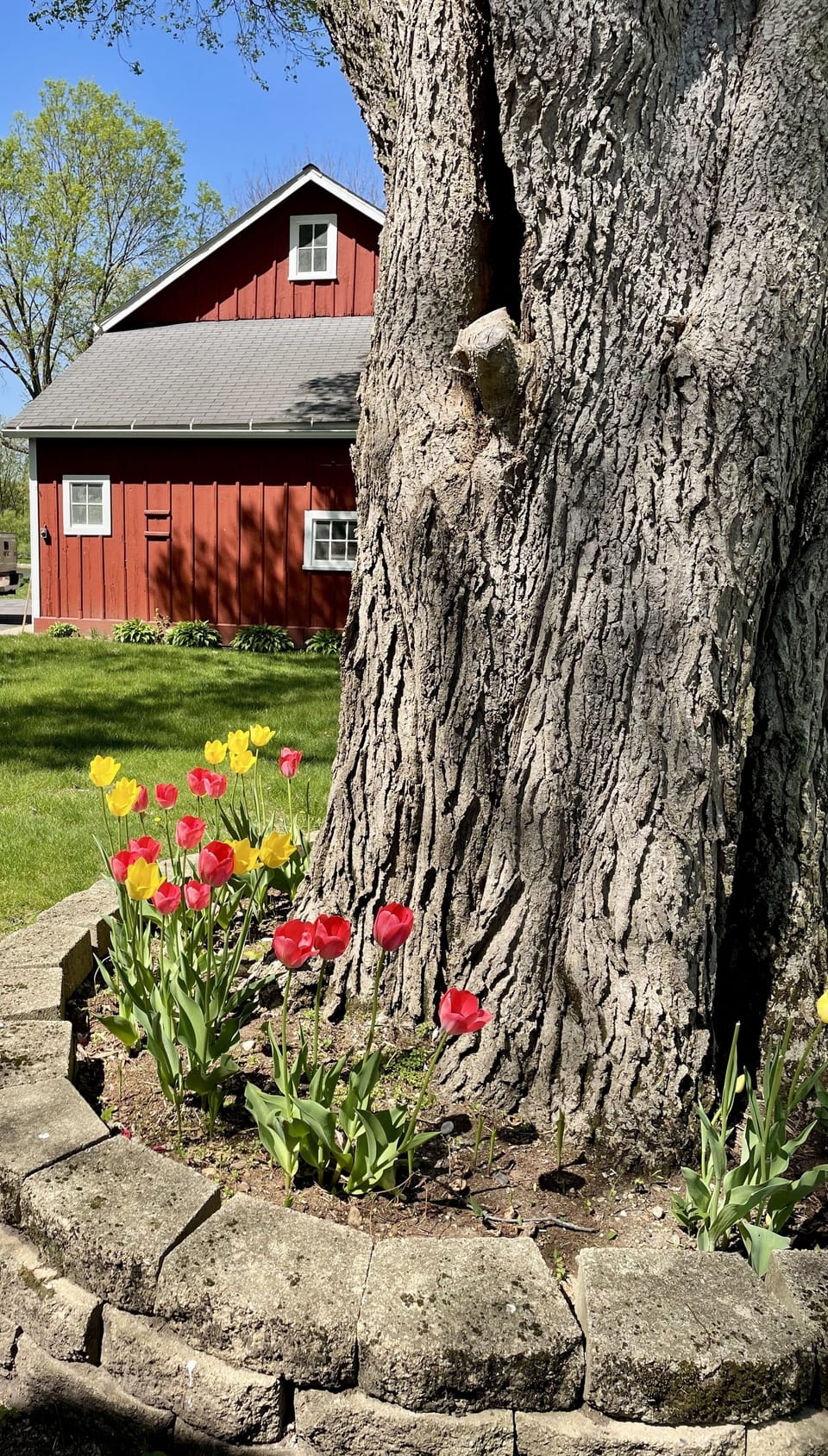 Anxiously awaiting spring....
