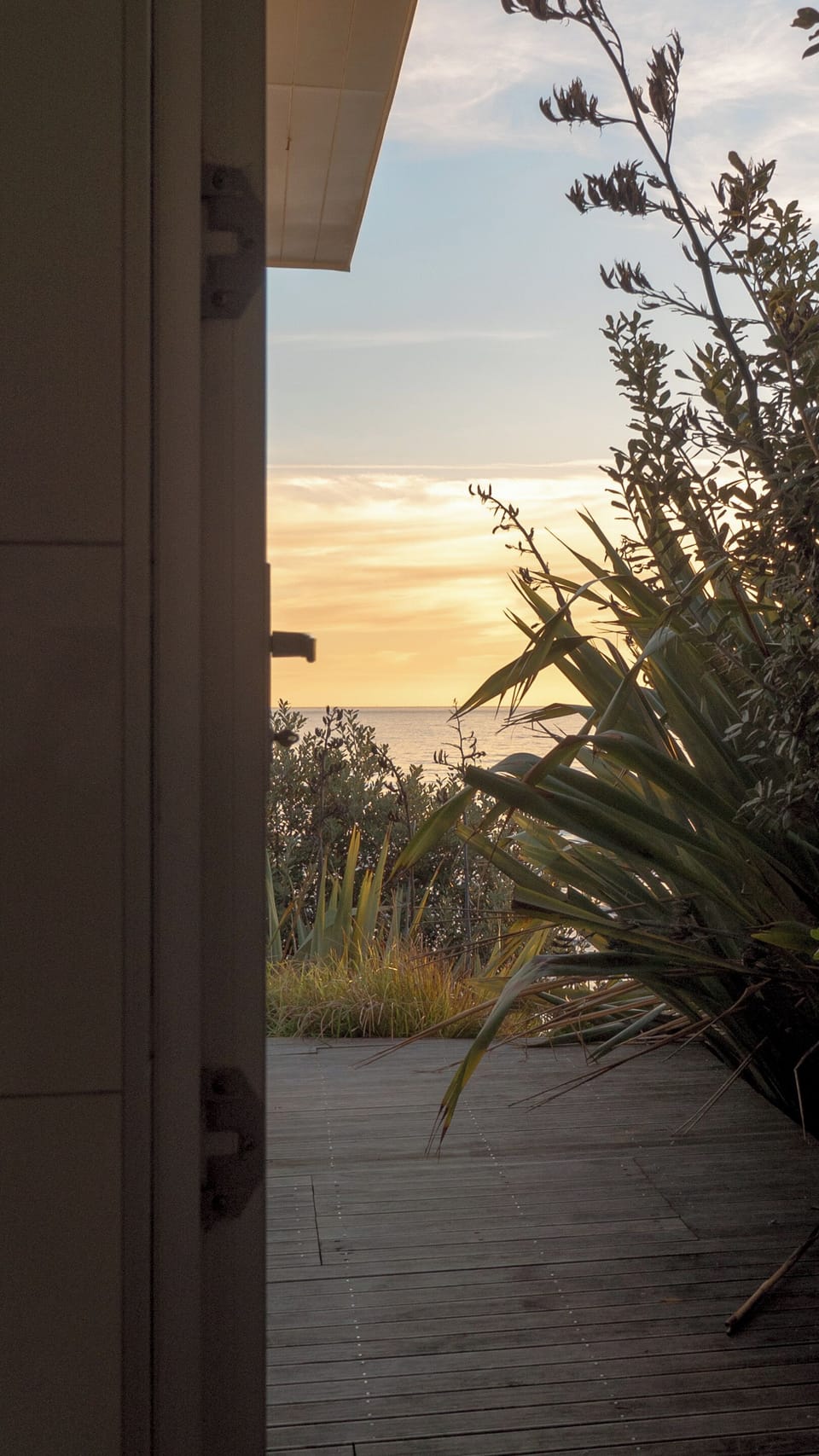 View from the shower