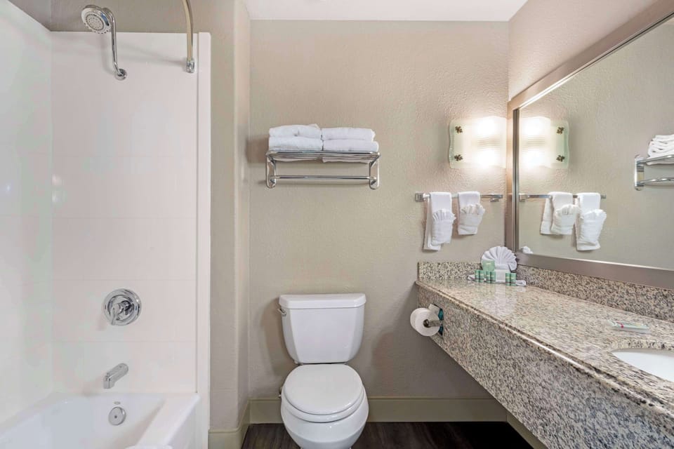 Combined shower/tub, free toiletries, hair dryer, towels