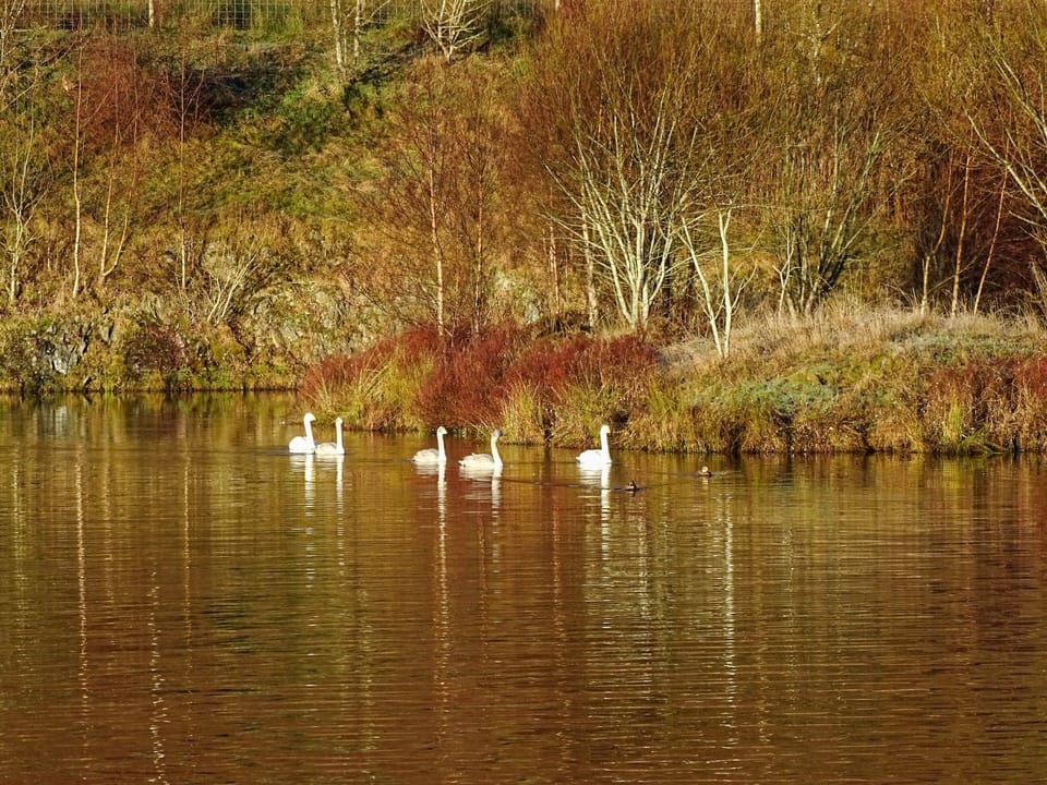 Surrounding area | 15 Glengoulandie Lodge, Glengoulandie, near Aberfeldy