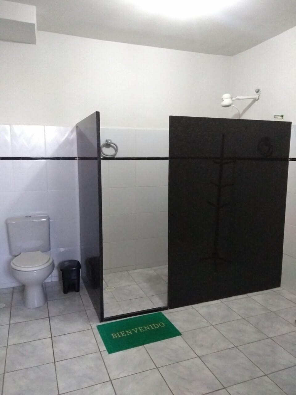Deluxe Suite | Bathroom | Shower, towels, soap, toilet paper