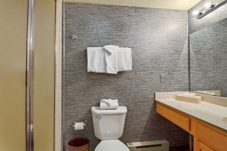 Indoors, Room, Bathroom, Toilet, Towel