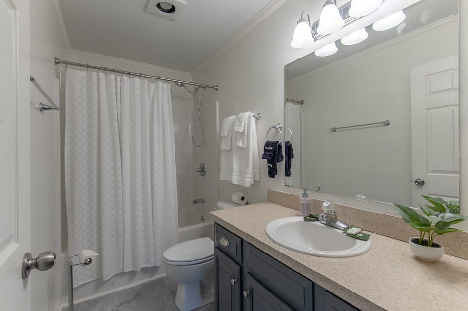 Hall bathroom