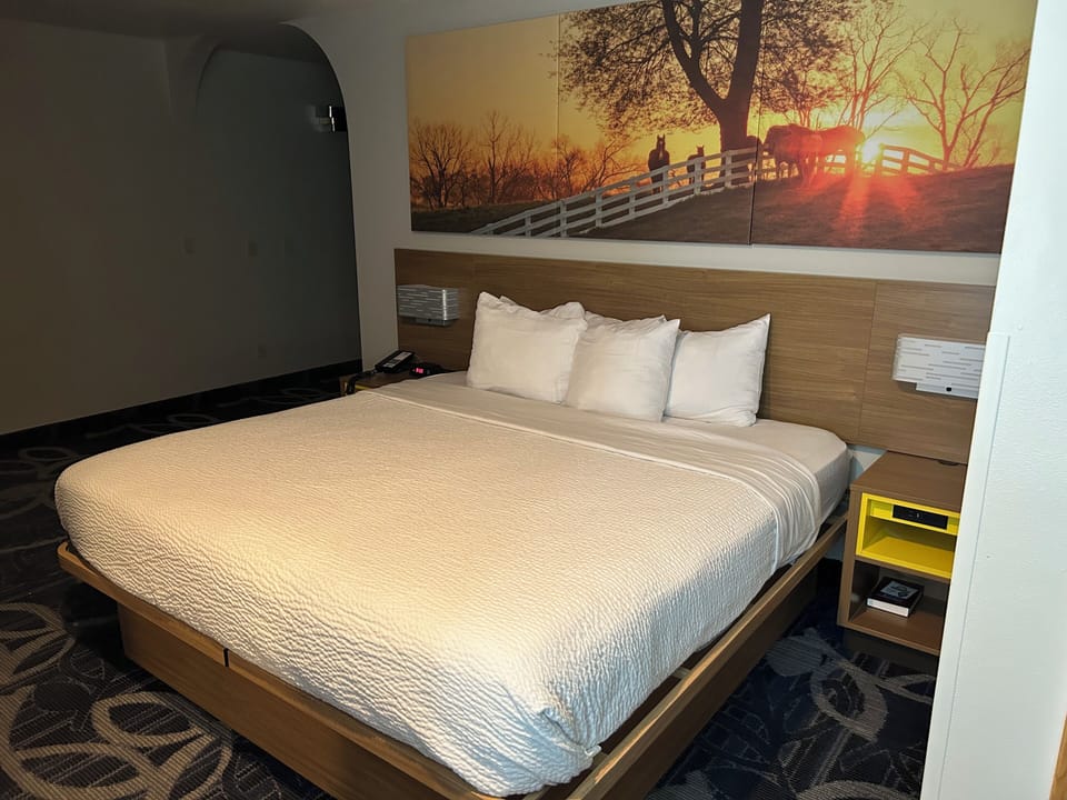 Business Room, 1 King Bed with Sofa bed | Desk, iron/ironing board, cribs/infant beds, rollaway beds