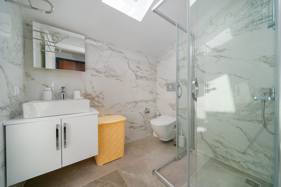 Deluxe Suite | Bathroom | Shower, free toiletries, hair dryer, towels