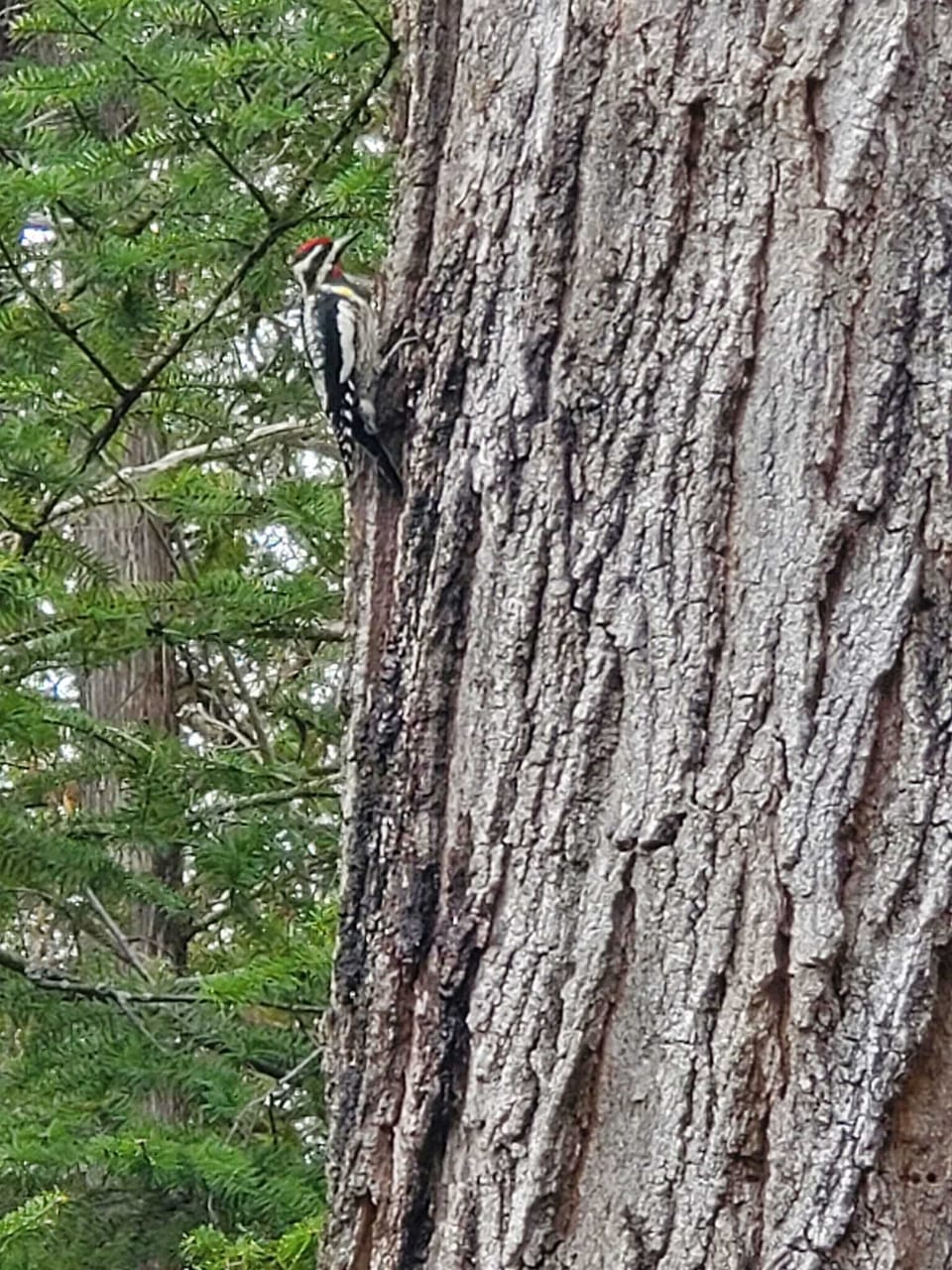 95d9049a-398e-4d4f-af67-88ccb64b6997