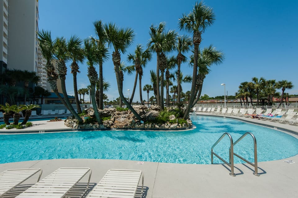 Incredible pool with palm trees