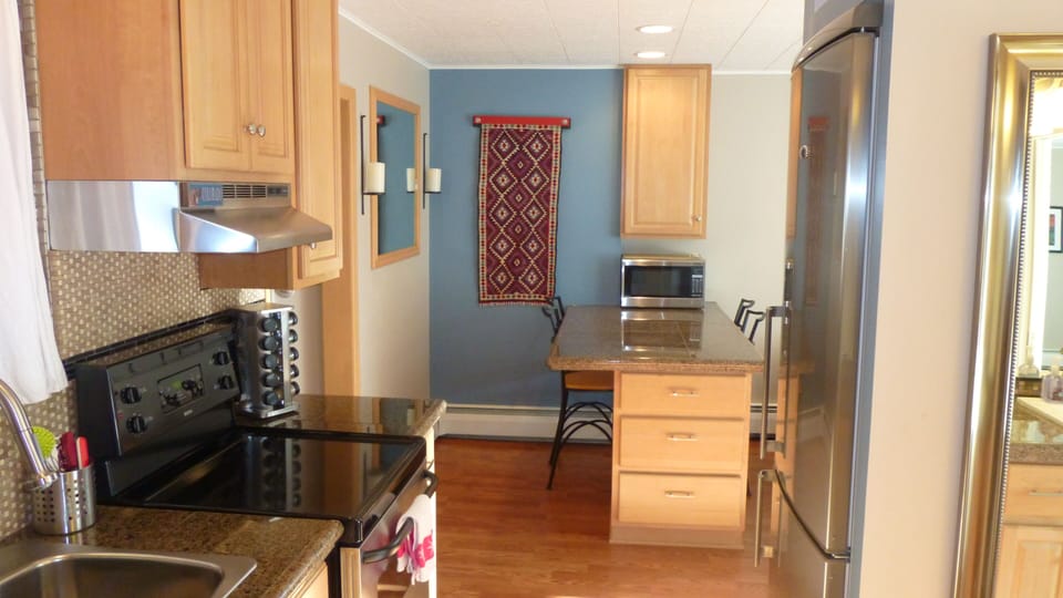 induction stove top and granite counters