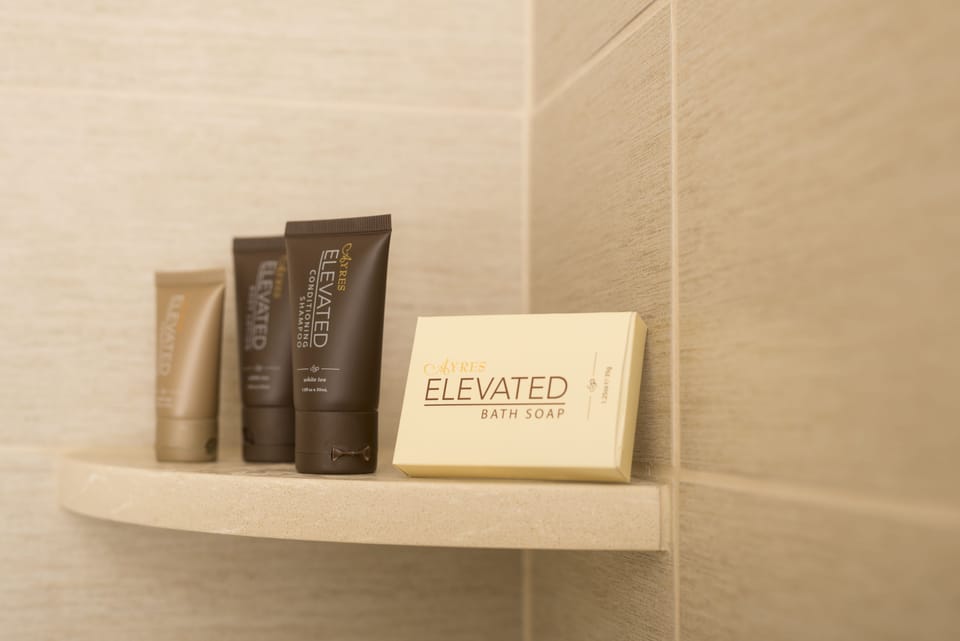 Combined shower/tub, free toiletries, hair dryer, towels