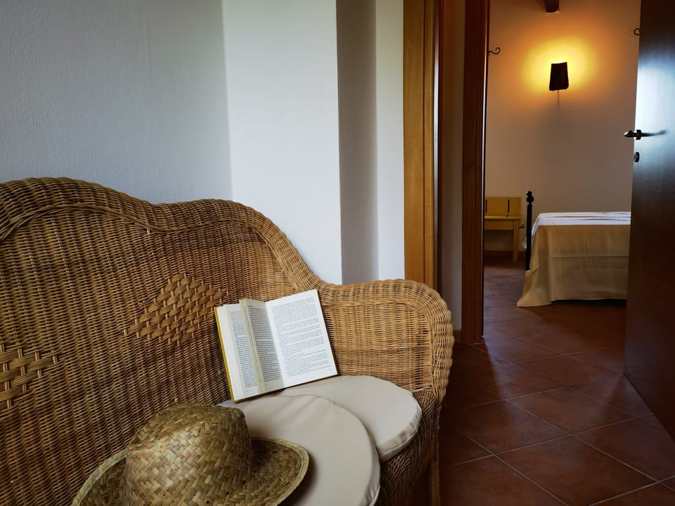 Basic Room | Egyptian cotton sheets, premium bedding, in-room safe, laptop workspace