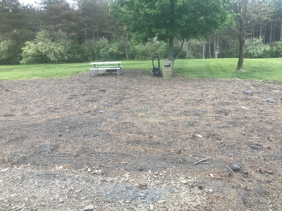 Picture before limestone gravel, fruit trees, and charcoal grill was installed