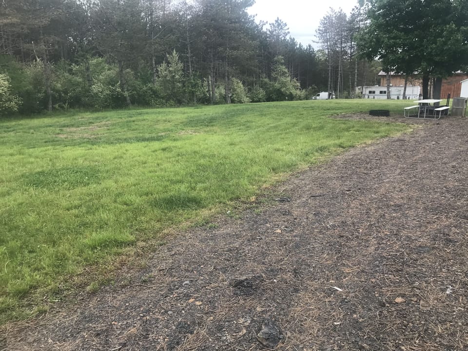Picture before limestone gravel, fruit trees, and charcoal grill was installed
