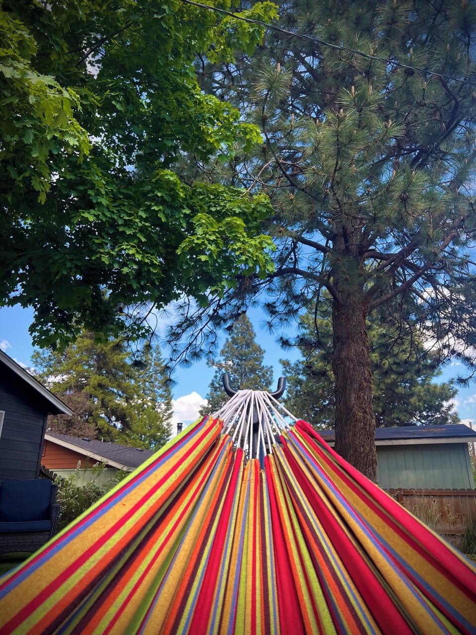 View of tree tops from the hammock