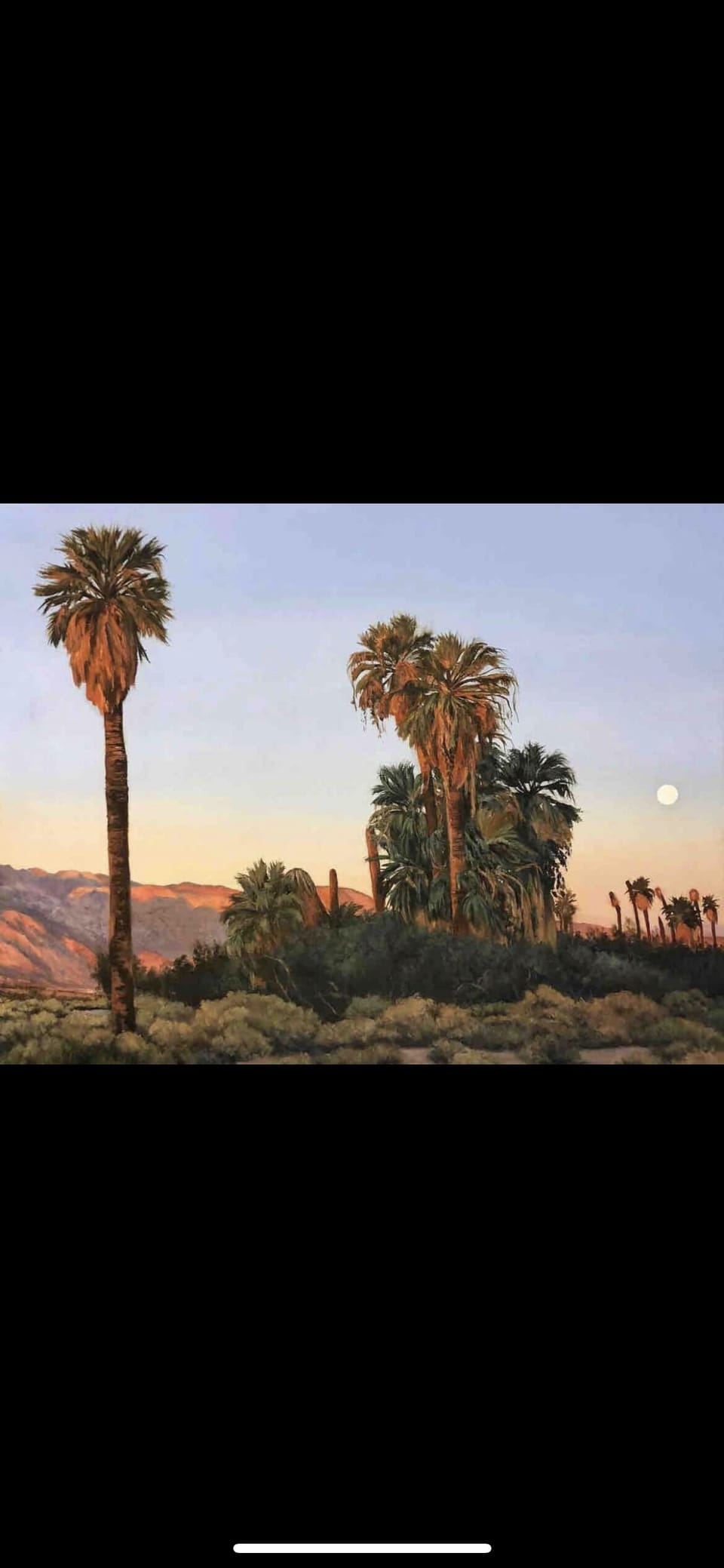 Oasis of Mara by Naomi Brown - currently on display in the home and for sale. 