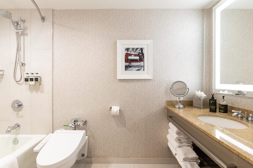 Eco-friendly toiletries, hair dryer, towels