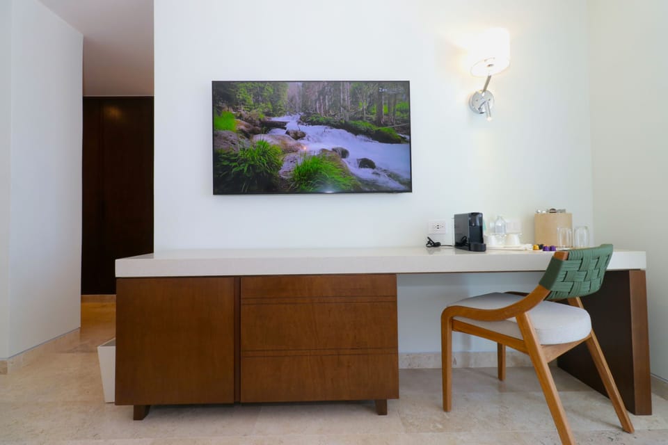 Superior Room, City View | Television