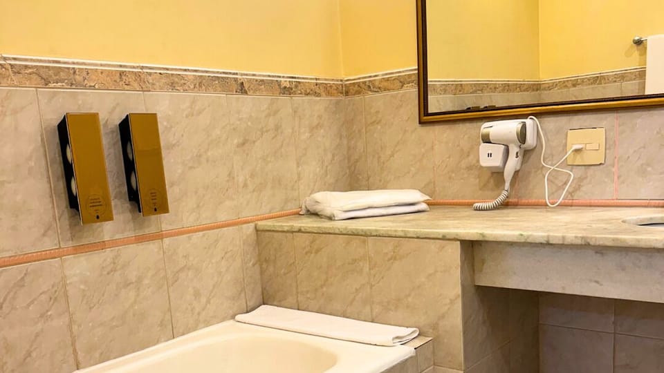 Studio Suite, 1 King Bed, City View | Bathroom | Shower, free toiletries, hair dryer, towels