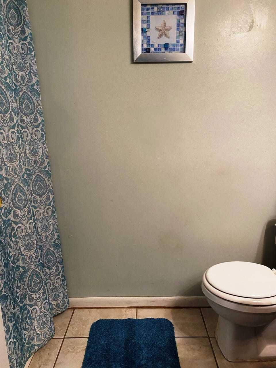 Hall Bathroom has a tub/shower combo