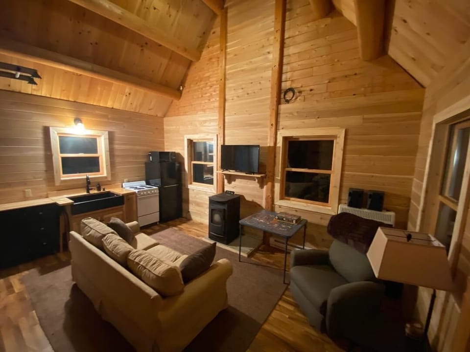 In winter months we sometimes move the couch closer to the pellet stove!