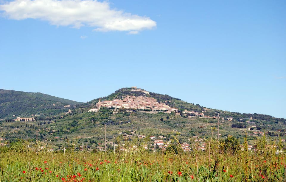 area