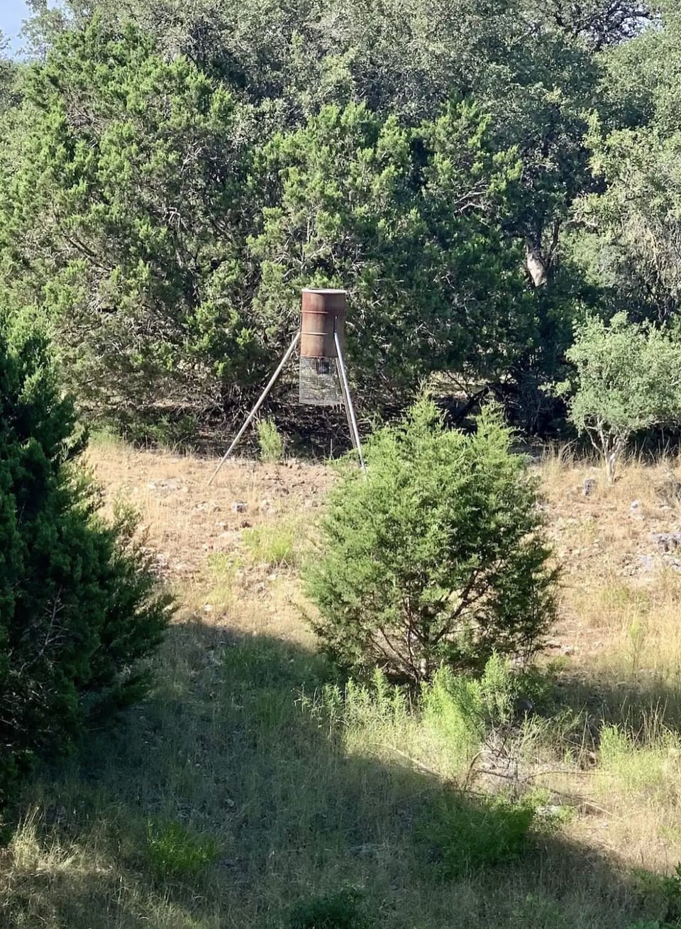 View of the deer feeder from the back porch. (Looking left from the porch)