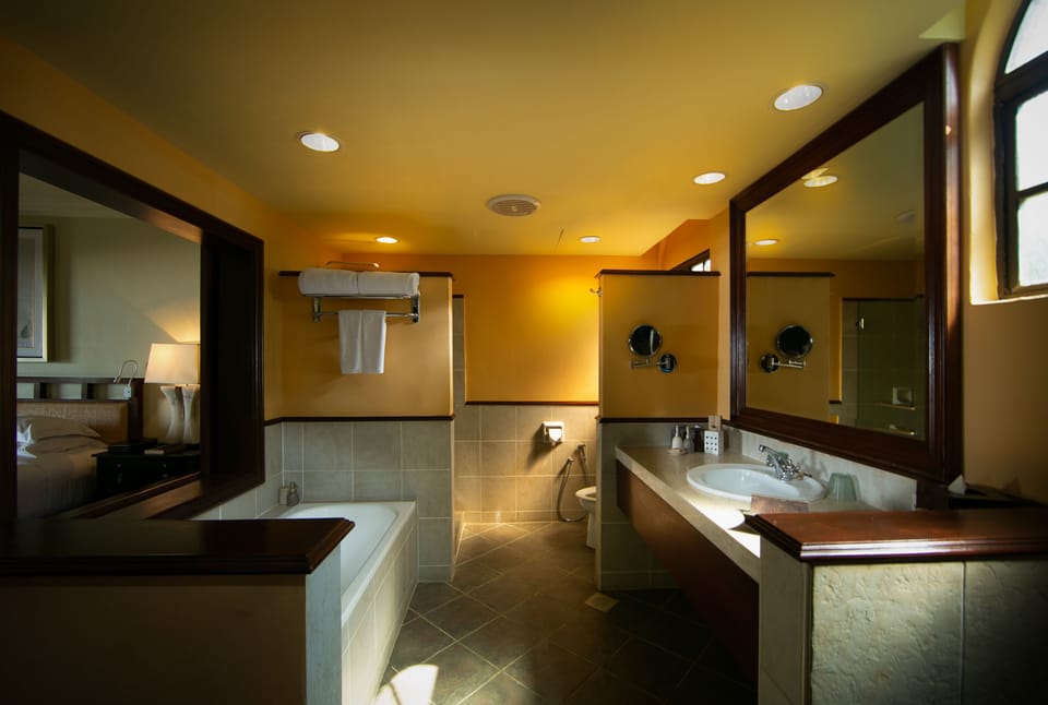 Separate tub and shower, free toiletries, hair dryer, bathrobes
