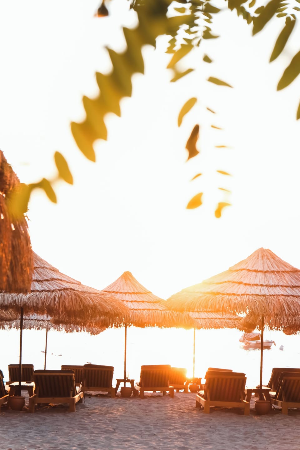 Beach bar