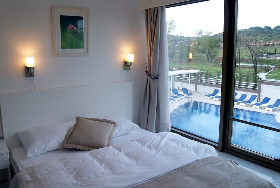 Standard Double Room, Pool View, Poolside | Egyptian cotton sheets, premium bedding, minibar, desk