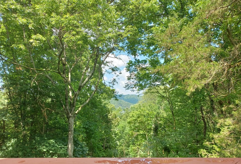 view from kitchen balcony 