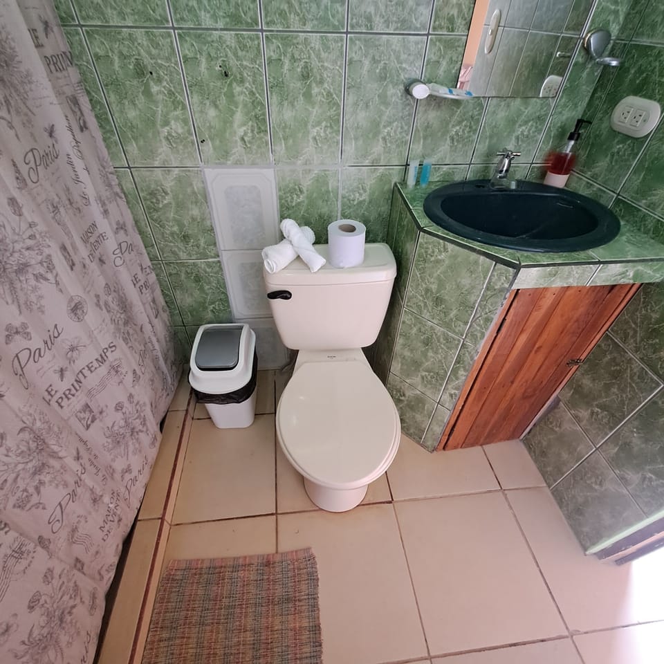 Standard Quadruple Room | Bathroom | Shower, free toiletries, towels, soap