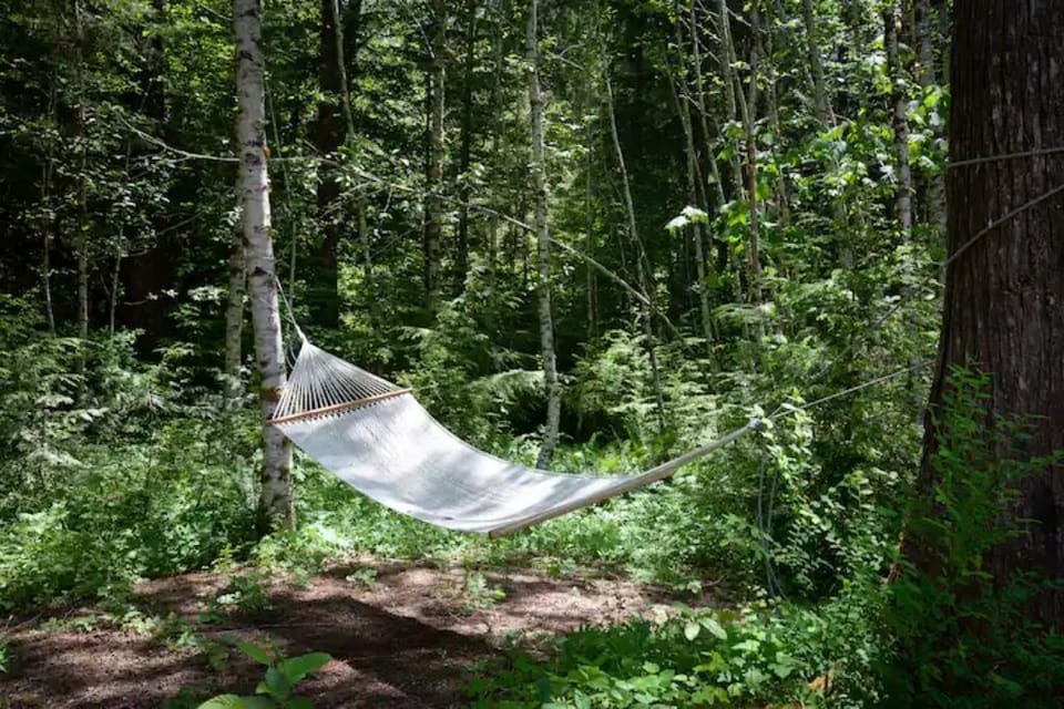 Relaxing hammock in the expansive backyard. 