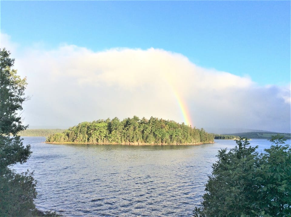 You may see the eagles that nest on this island from your window