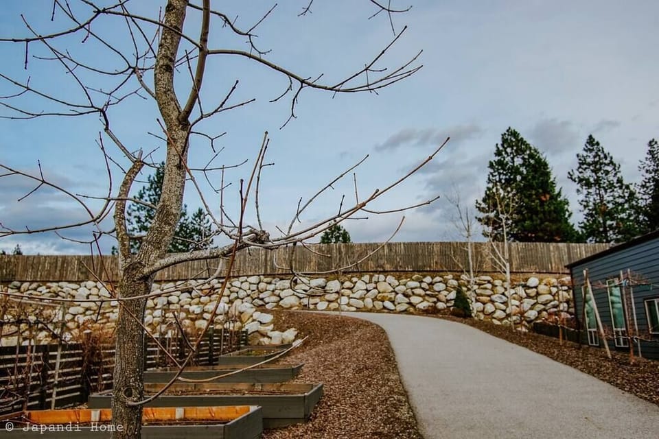 On your way to the Centennial Trail, you will discover an apple vine along with a quaint community garden to the left