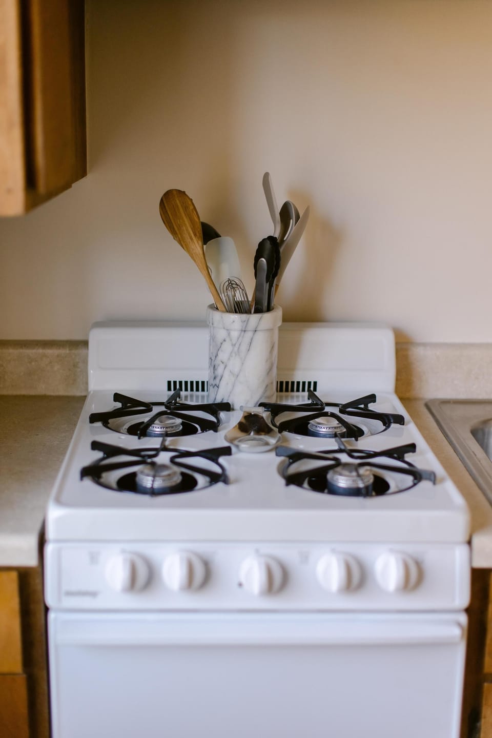 Gas Stove with oven