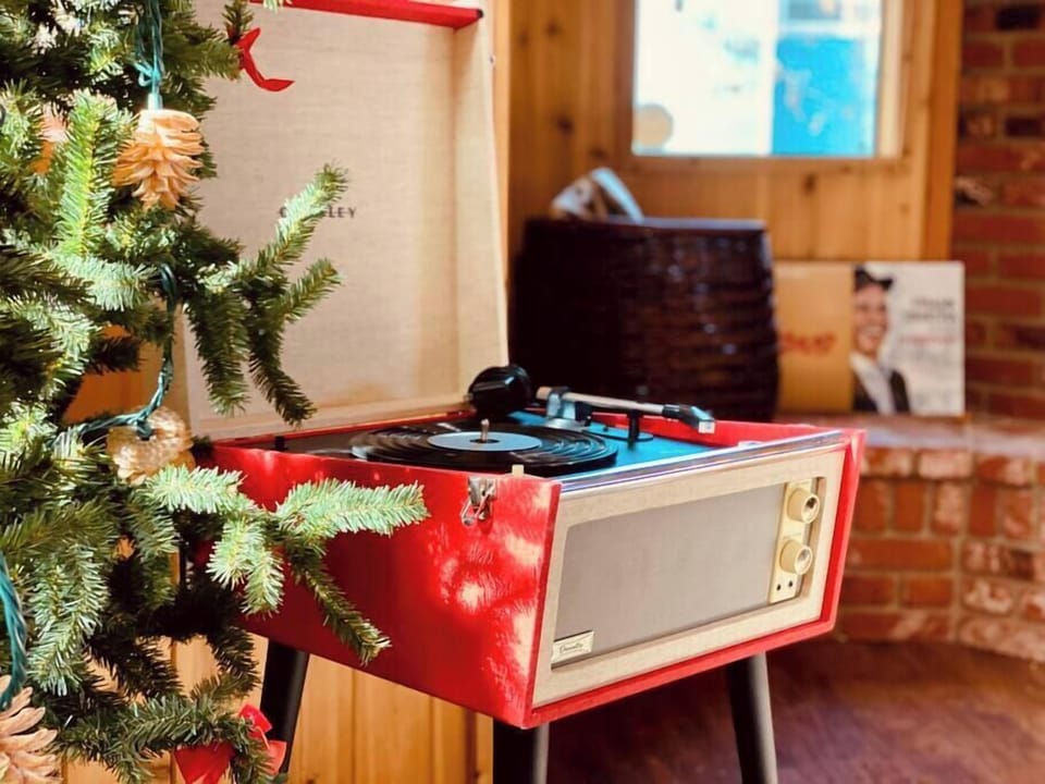 Cozy up with a blankie by the fireplace & listen to your favorite records!