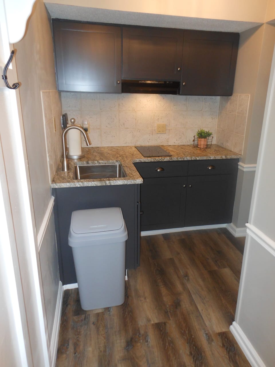 Kitchenette with electric cooktop.  
No oven