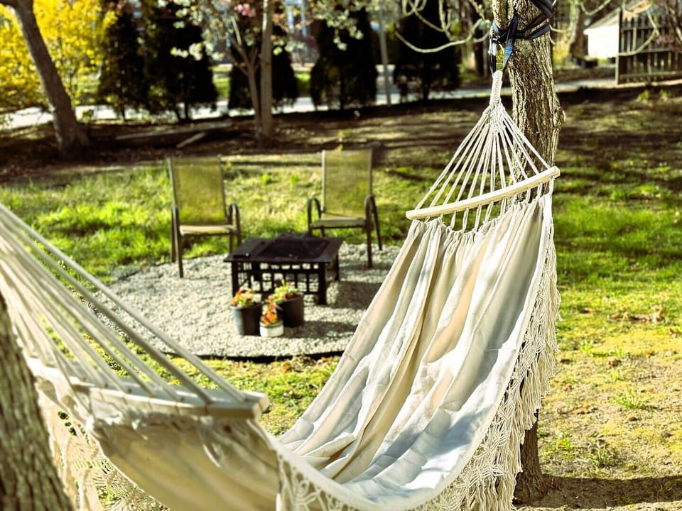 Fire pit and hammock for relaxing