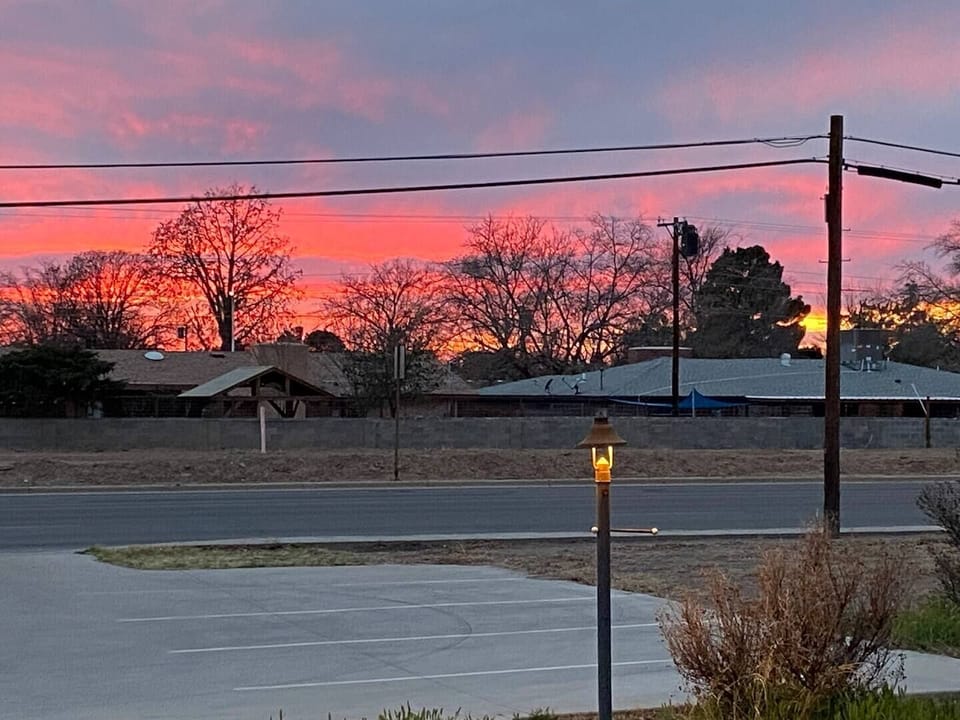 Backyard sunset