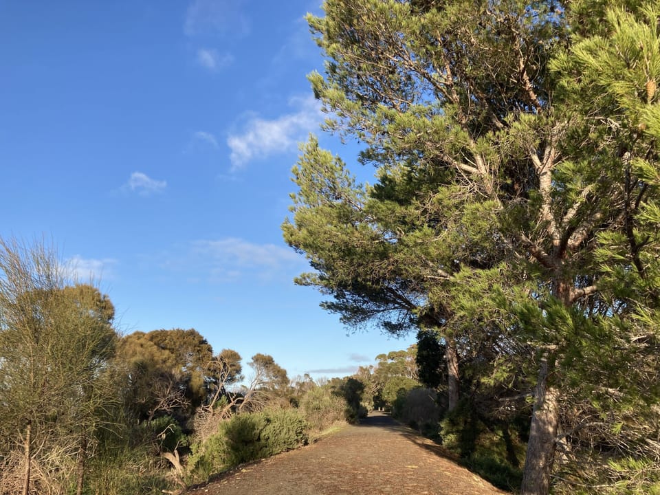 walking trail at front of house