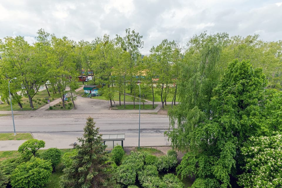 Scenic view of a green park with trees and a peaceful atmosphere.
