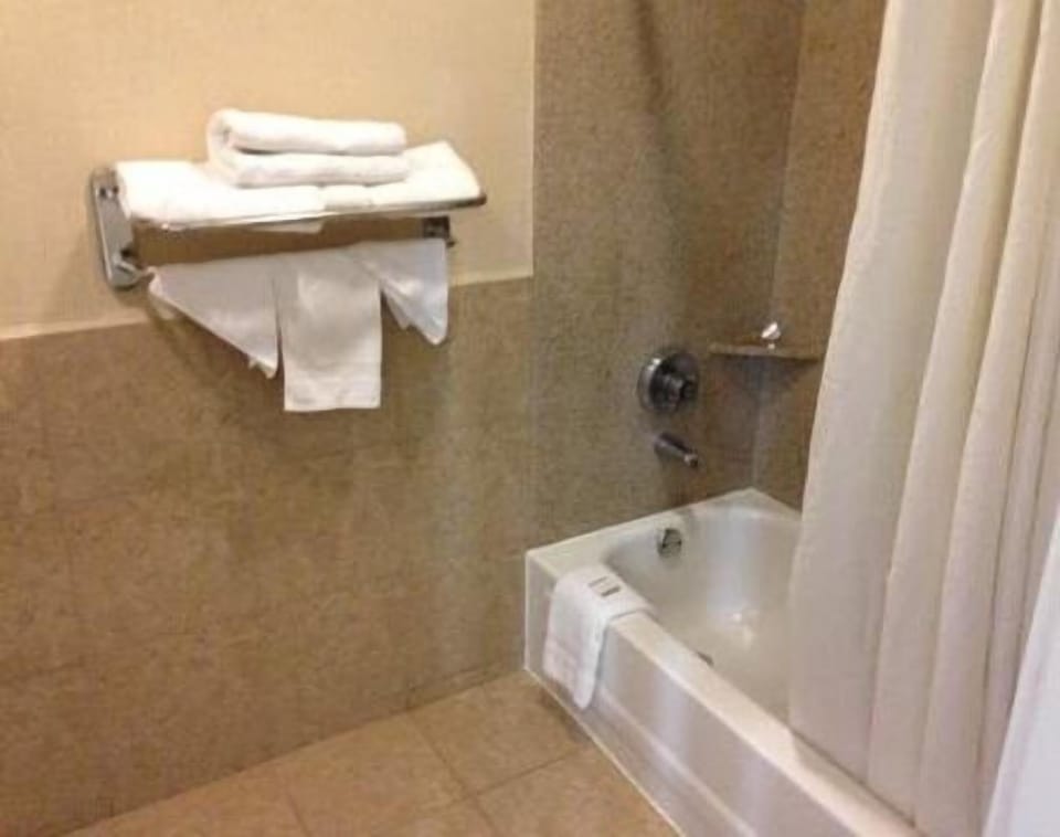Downtowner Inn and Suites Hobby Motel in Harris County