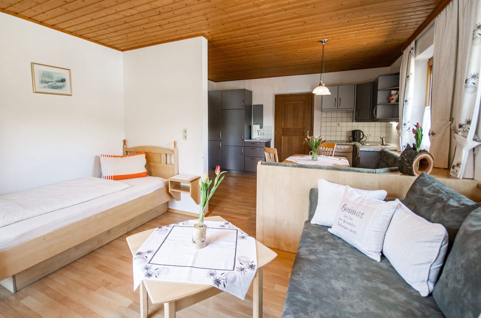 Traditional Apartment | Hypo-allergenic bedding, individually furnished, desk, free WiFi