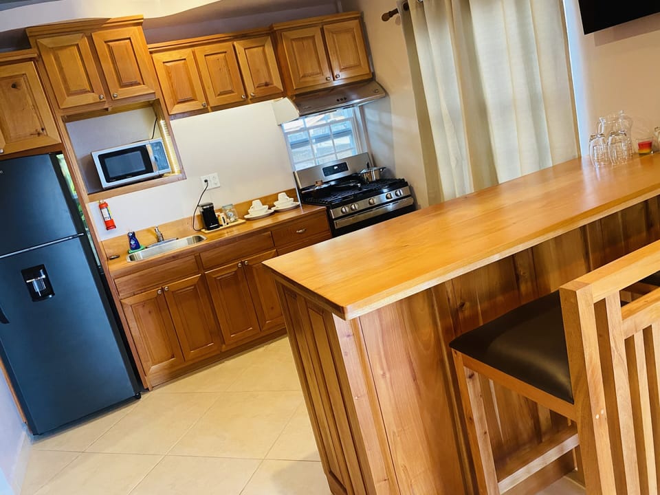 Islander Villa Studio Suite | Individually decorated, individually furnished, desk, laptop workspace