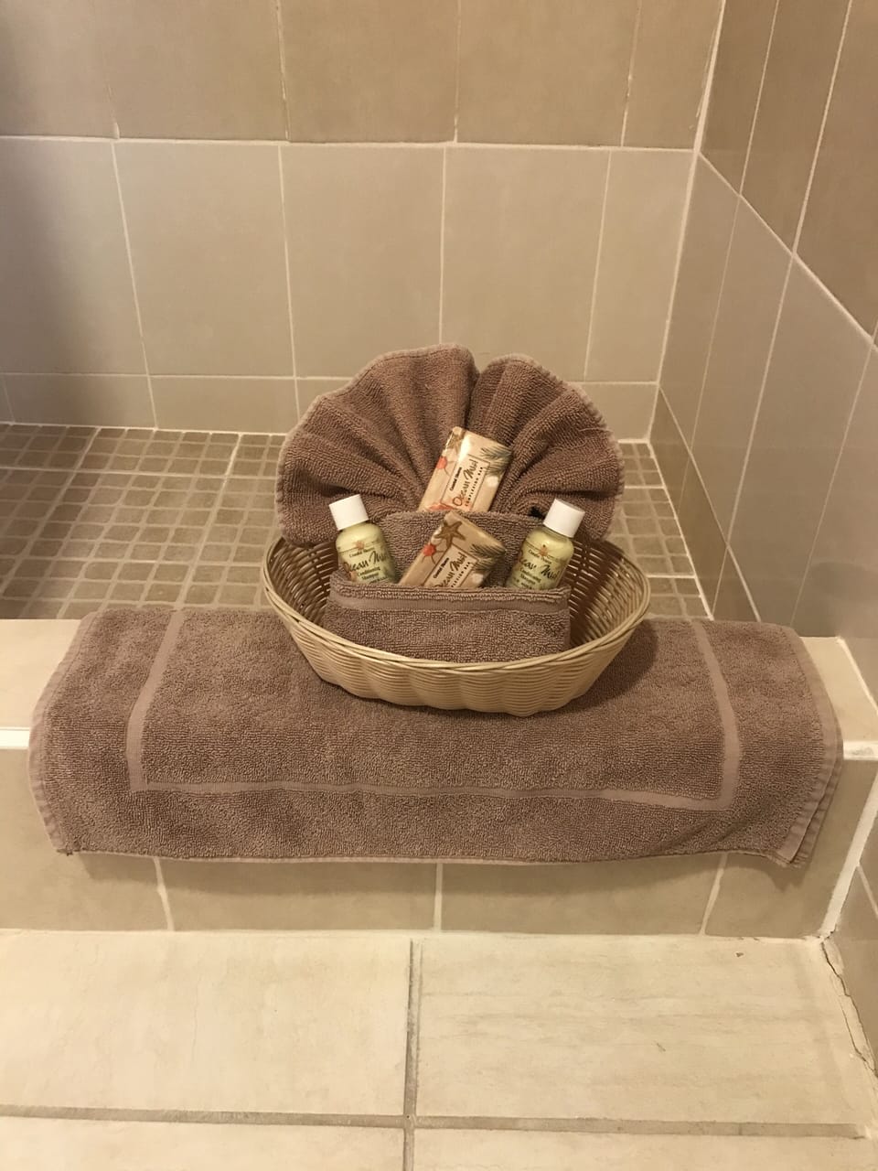 Traditional Room, 2 Double Beds, Partial Sea View | Bathroom | Shower, free toiletries, hair dryer, towels