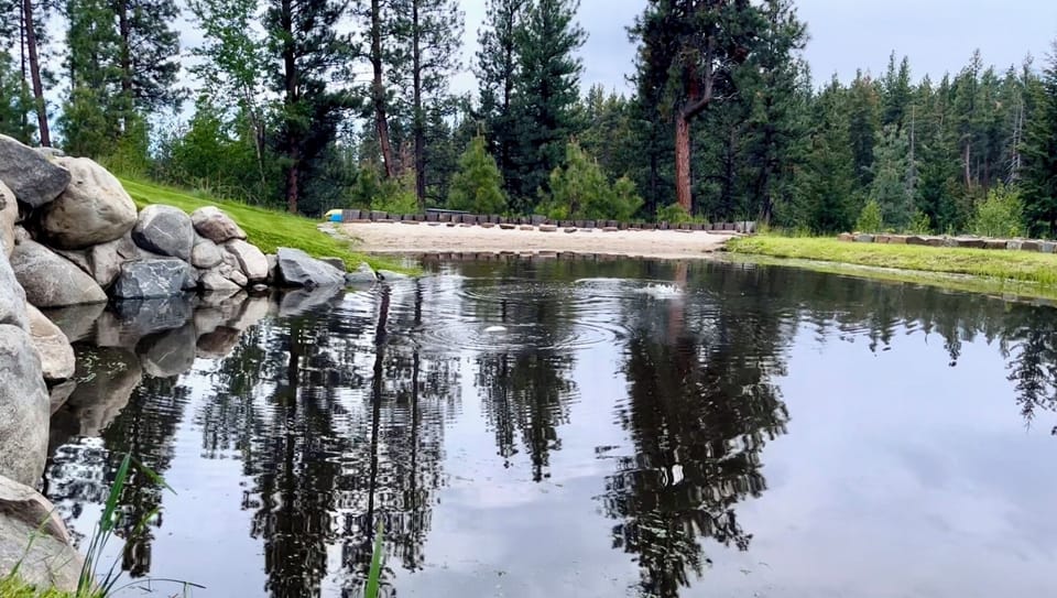 Fish jumping in the pond